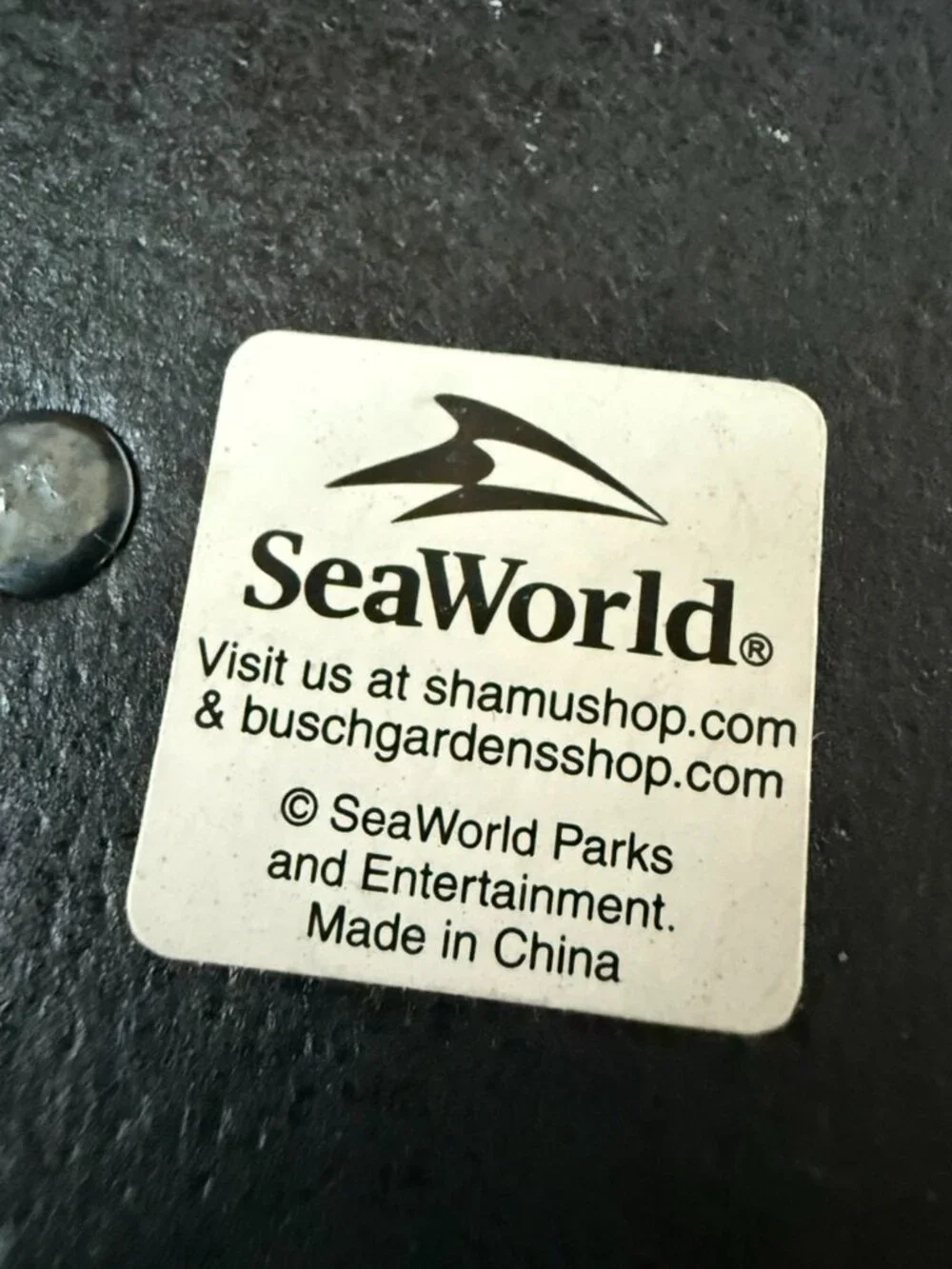 SeaWorld Orca Frame 4x6 Picture Killer Whale Shamu Souvenir Travel Gift